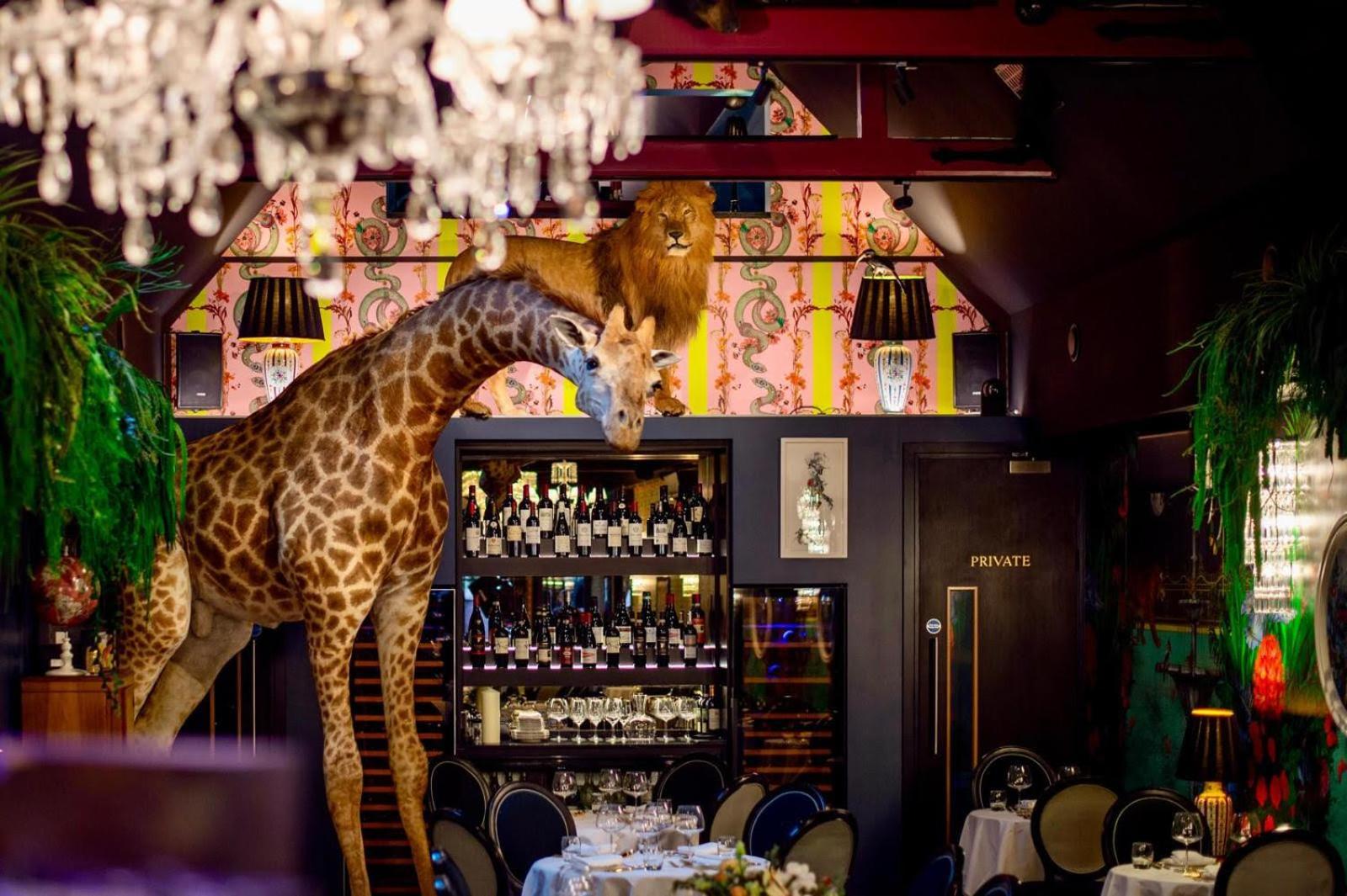 Hux Hotel, Kensington London Eksteriør billede